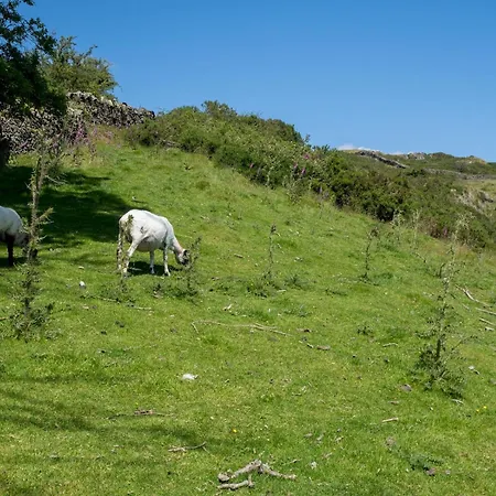 Beautiful Detached Hot Tub Sauna - Pass The Keys